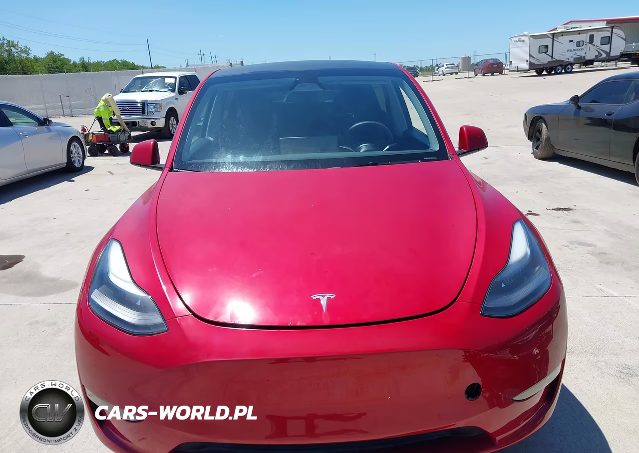 2024 Tesla Model Y VIN:7SAYGDEE5RA217617 - 11