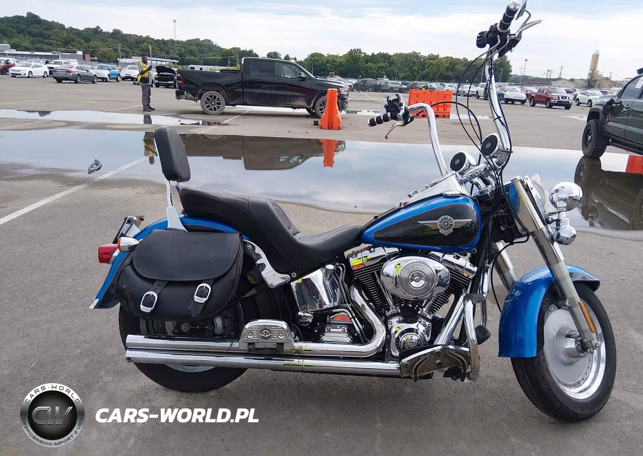 2004 Harley-Davidson Flstfi VIN:1HD1BXB164Y036763 - 12