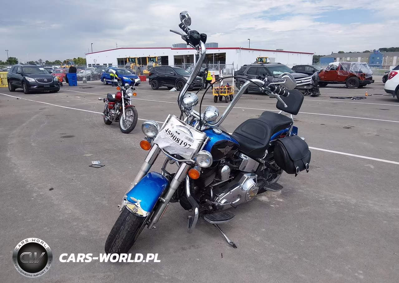 2004 Harley-Davidson Flstfi VIN:1HD1BXB164Y036763 - 2