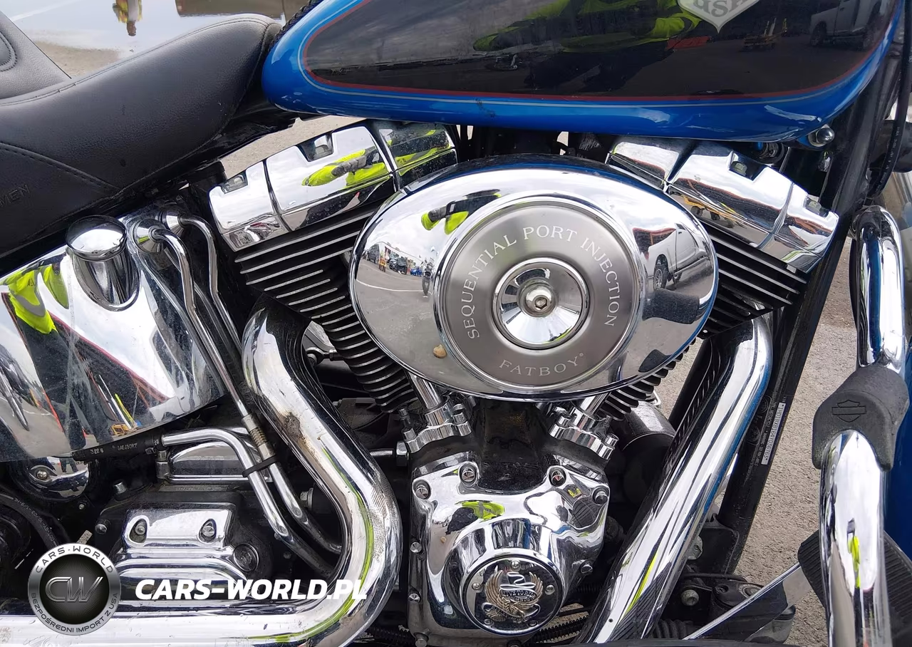 2004 Harley-Davidson Flstfi VIN:1HD1BXB164Y036763 - 8