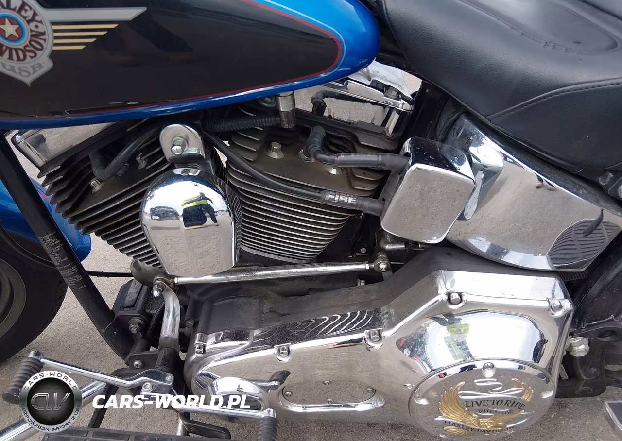 2004 Harley-Davidson Flstfi VIN:1HD1BXB164Y036763 - 9