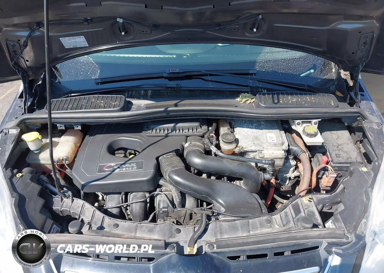 2015 Ford C-Max Energi Sel VIN:1FADP5CU1FL121304 - 10