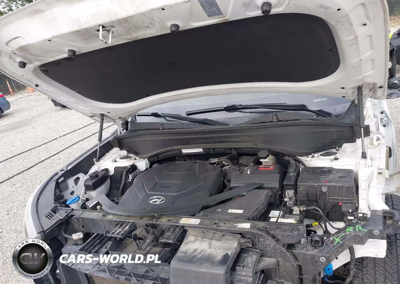 2020 Hyundai Palisade Sel VIN:KM8R4DHE0LU088558 - 10