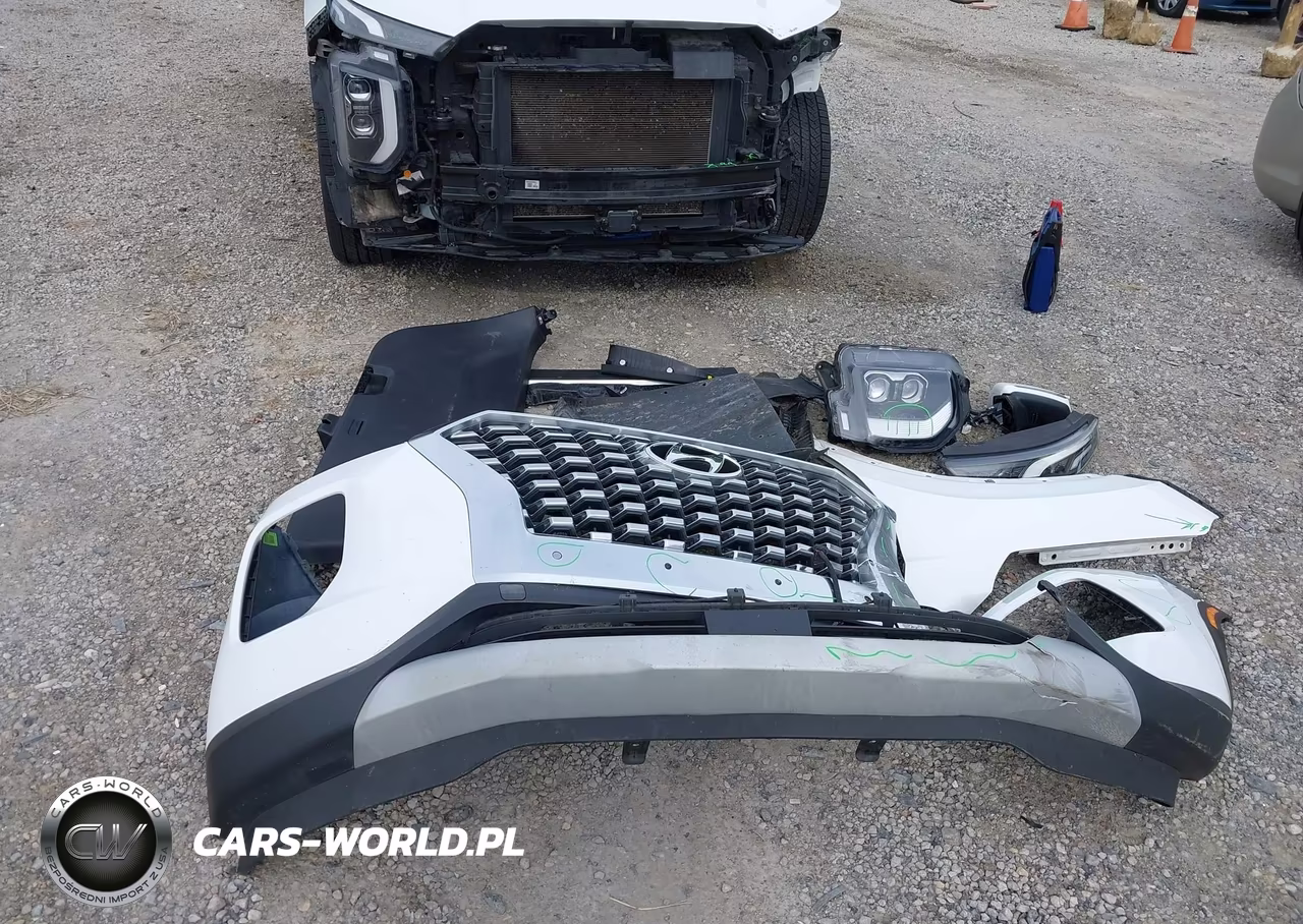 2020 Hyundai Palisade Sel VIN:KM8R4DHE0LU088558 - 12