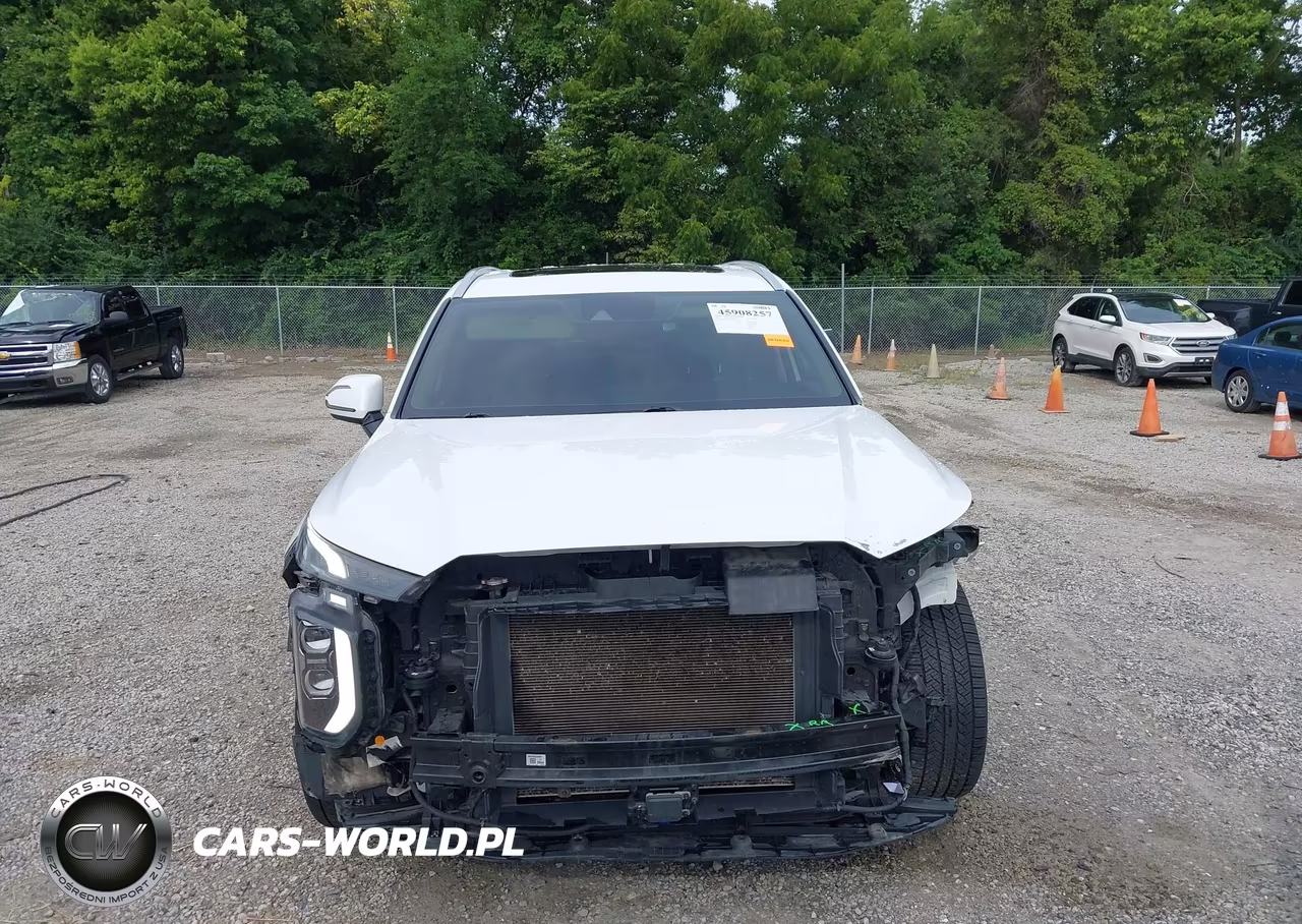 2020 Hyundai Palisade Sel VIN:KM8R4DHE0LU088558 - 13