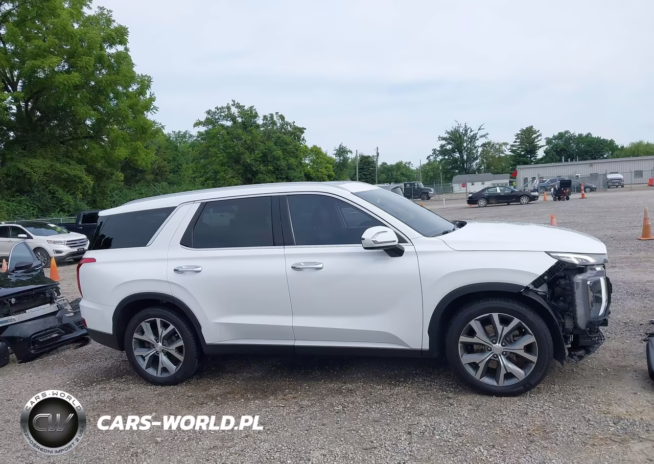 2020 Hyundai Palisade Sel VIN:KM8R4DHE0LU088558 - 14