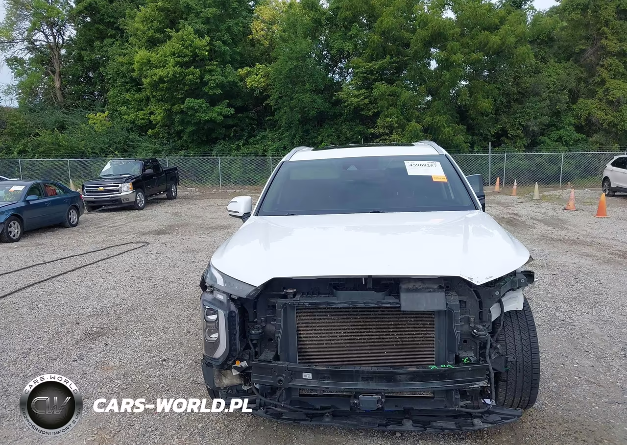 2020 Hyundai Palisade Sel VIN:KM8R4DHE0LU088558 - 19