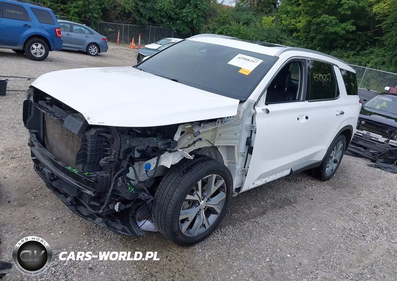 2020 Hyundai Palisade Sel VIN:KM8R4DHE0LU088558 - 2