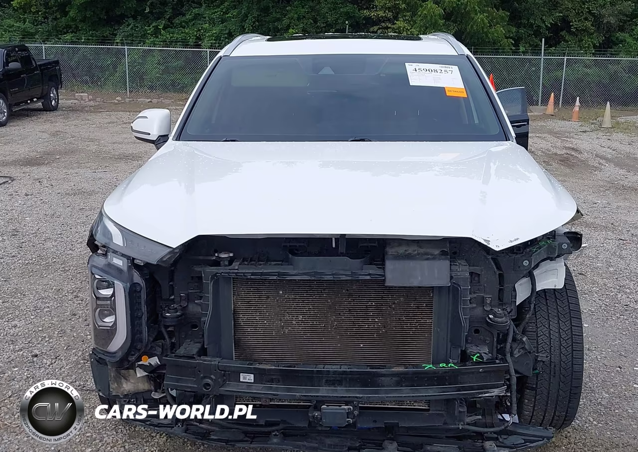 2020 Hyundai Palisade Sel VIN:KM8R4DHE0LU088558 - 20