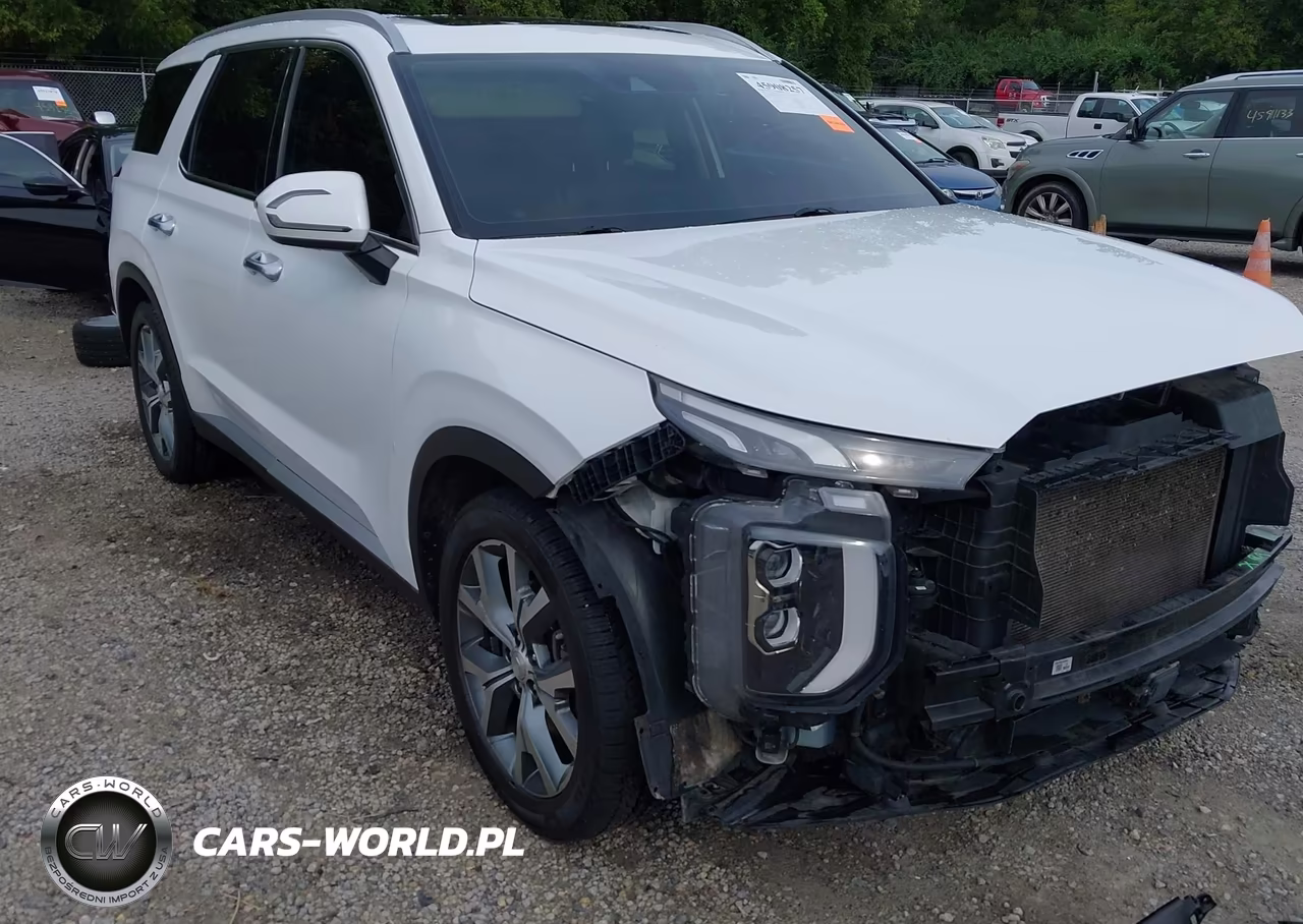 2020 Hyundai Palisade Sel VIN:KM8R4DHE0LU088558 - 21