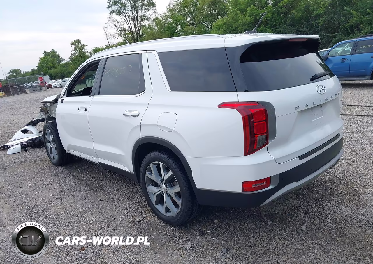 2020 Hyundai Palisade Sel VIN:KM8R4DHE0LU088558 - 3