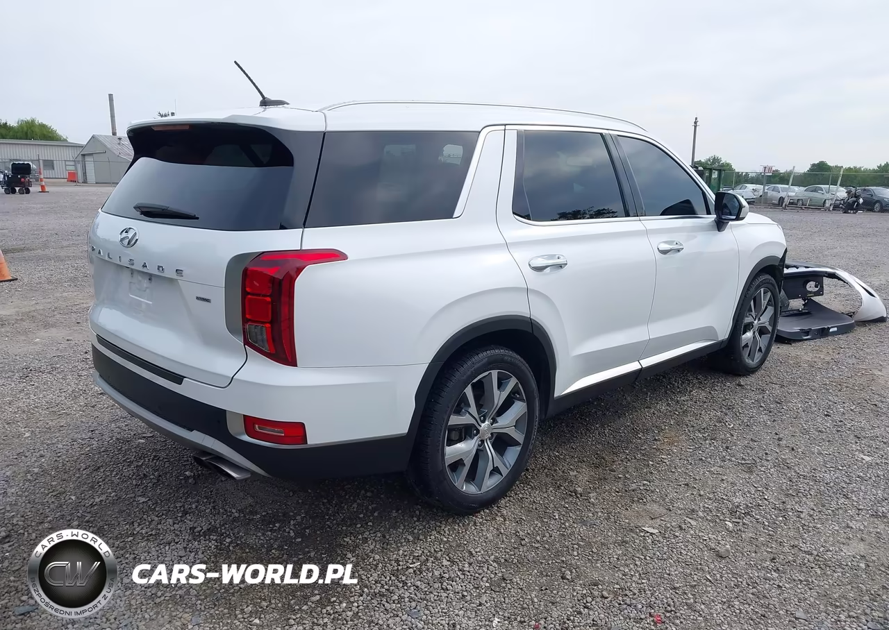 2020 Hyundai Palisade Sel VIN:KM8R4DHE0LU088558 - 4