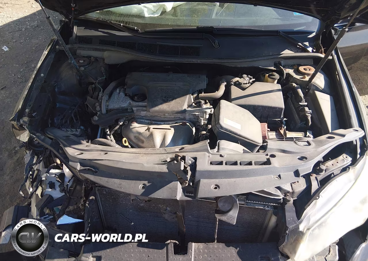 2016 Toyota Camry Se VIN:4T1BF1FKXGU217009 - 9