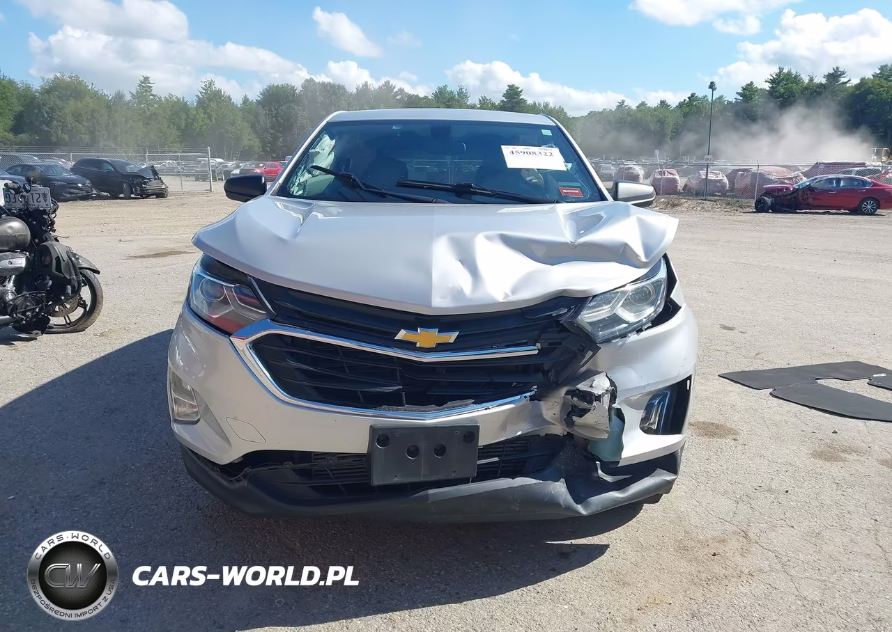 2019 Chevrolet Equinox Ls VIN:2GNAXSEV6K6147666 - 12