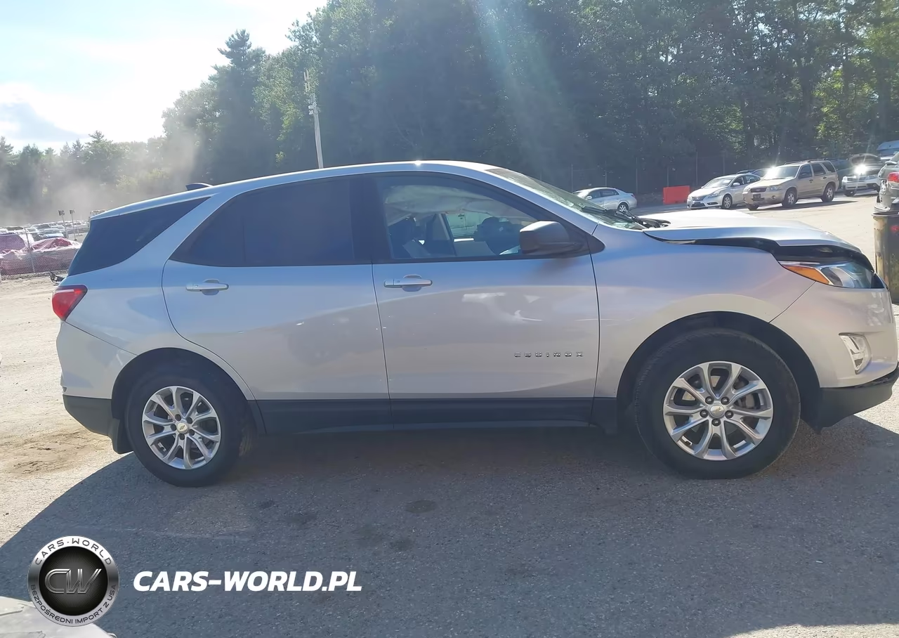 2019 Chevrolet Equinox Ls VIN:2GNAXSEV6K6147666 - 13