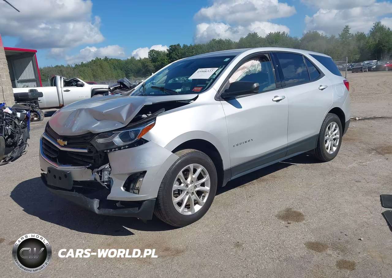 2019 Chevrolet Equinox Ls VIN:2GNAXSEV6K6147666 - 2