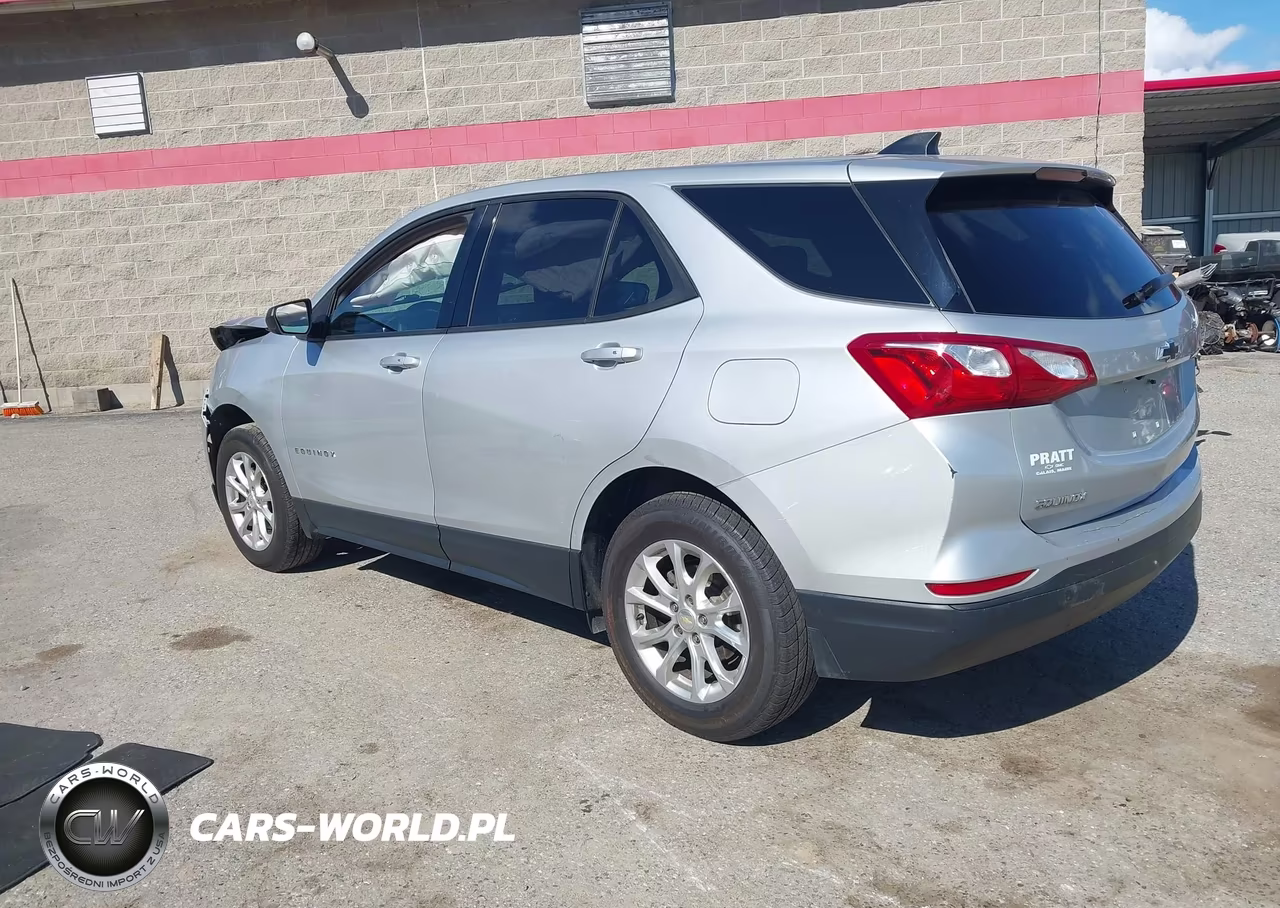2019 Chevrolet Equinox Ls VIN:2GNAXSEV6K6147666 - 3
