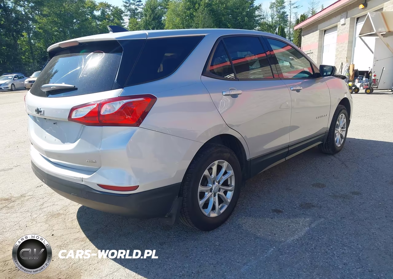 2019 Chevrolet Equinox Ls VIN:2GNAXSEV6K6147666 - 4