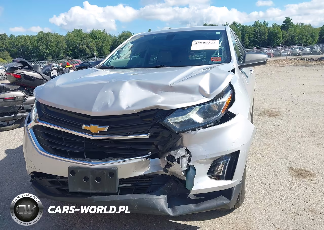 2019 Chevrolet Equinox Ls VIN:2GNAXSEV6K6147666 - 6