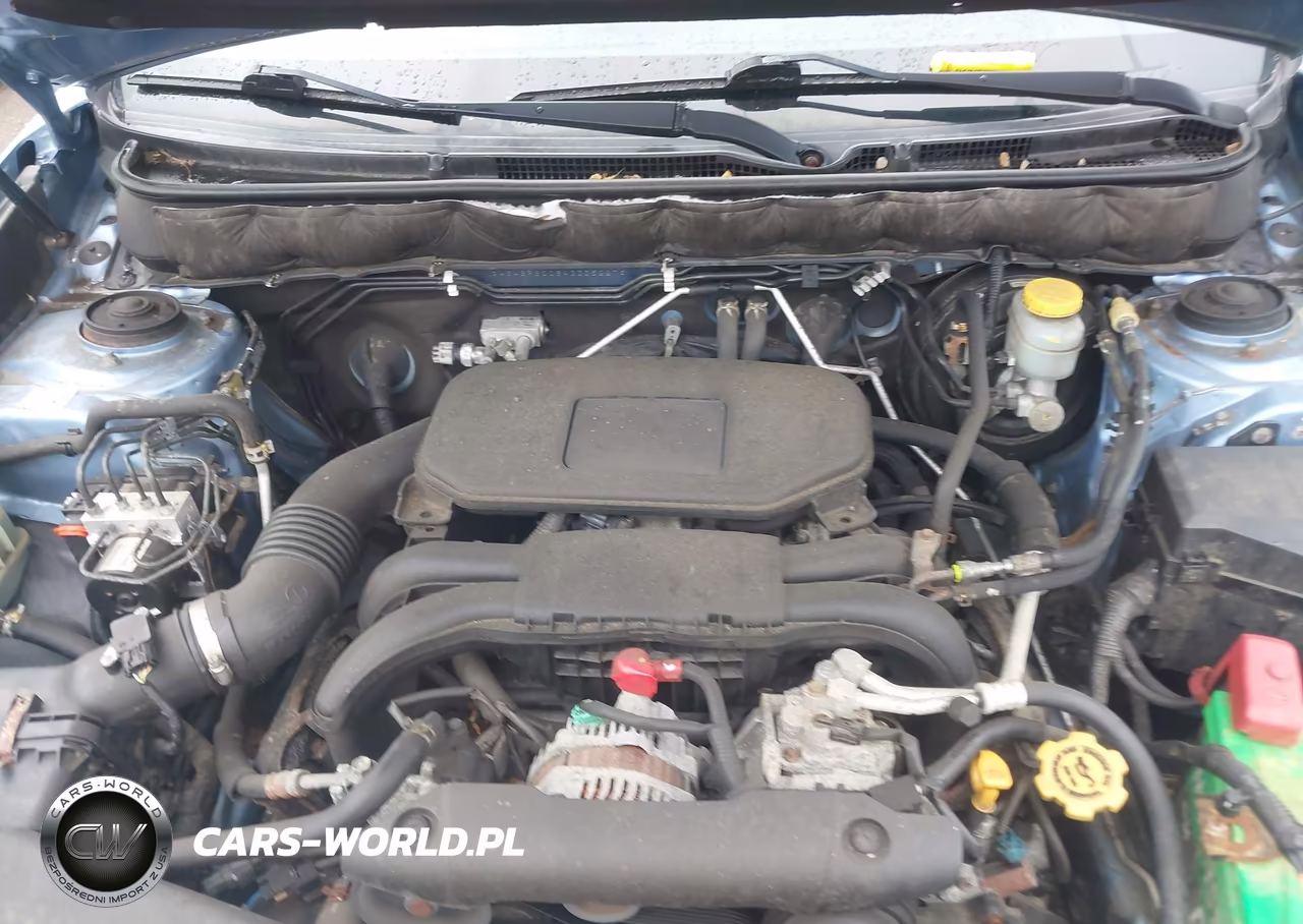 2010 Subaru Outback 2.5I Premium VIN:4S4BRBCC8A3335227 - 10