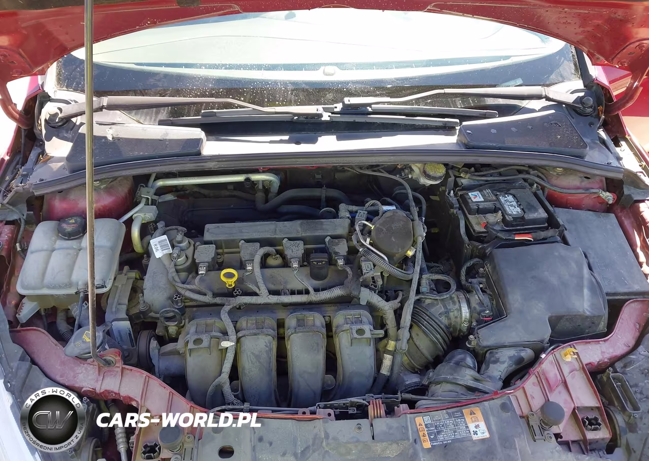 2015 Ford Focus Se VIN:1FADP3F21FL221823 - 10