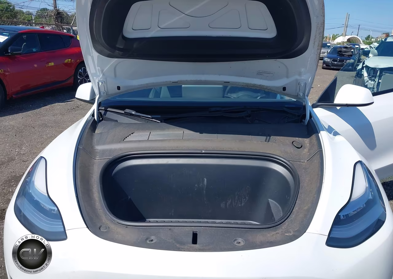2023 Tesla Model Y Awd-Long Range Dual Motor All-Wheel Drive VIN:7SAYGDEE2PA061226 - 10