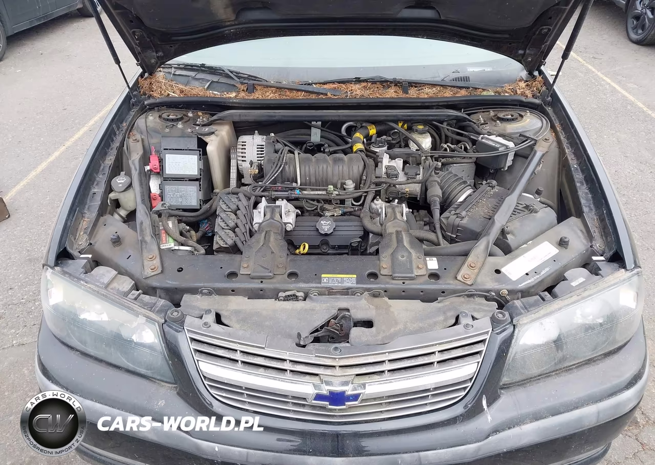 2003 Chevrolet Impala Ls VIN:2G1WH55KX39120661 - 10