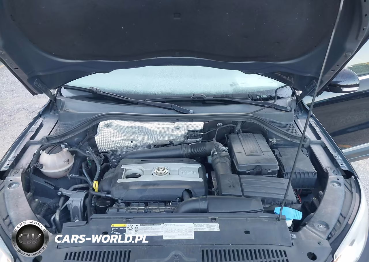 2015 Volkswagen Tiguan Sel VIN:WVGAV7AX3FW503999 - 10