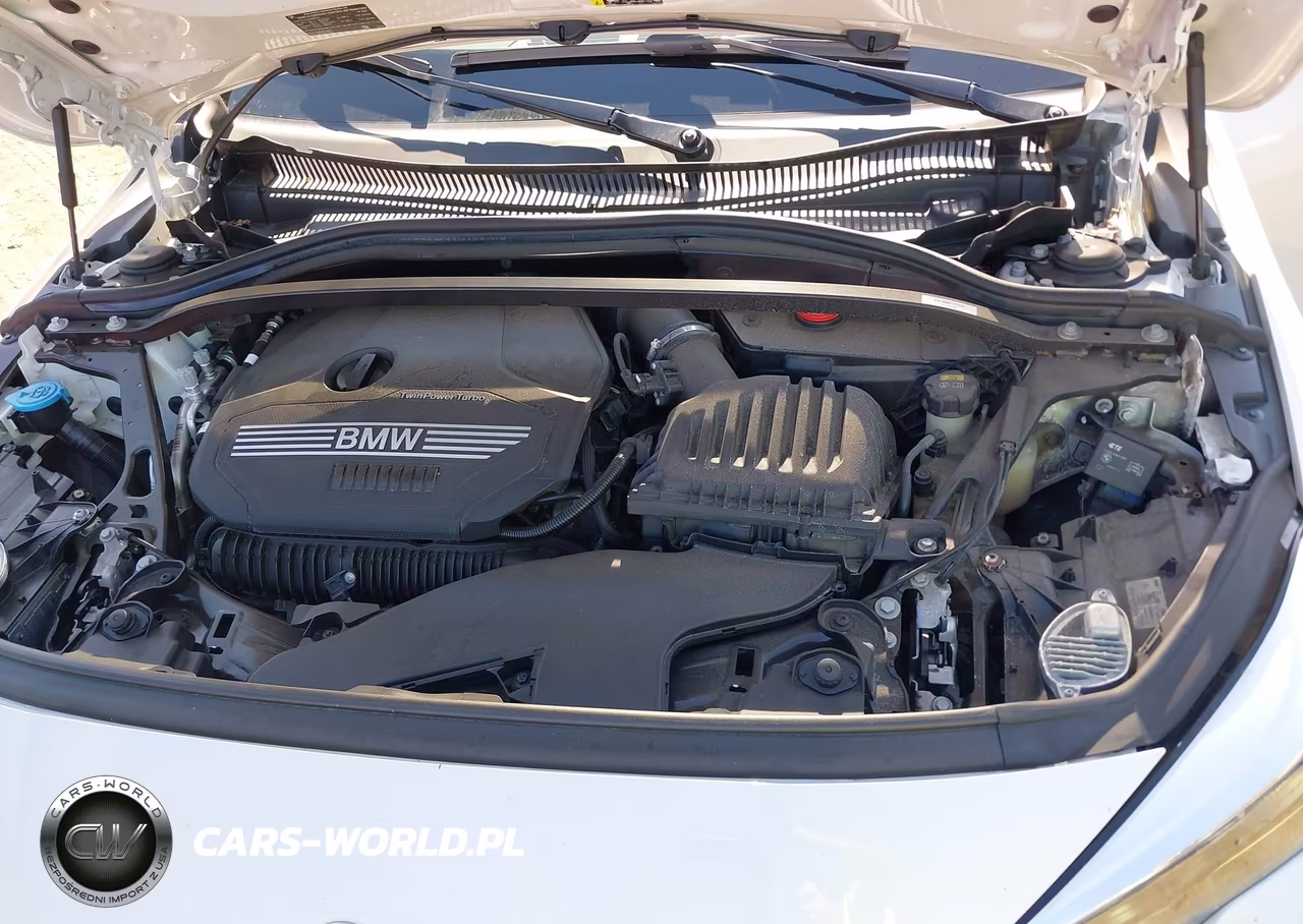 2020 BMW 228I Gran Coupe xDrive VIN:WBA73AK07L7F84322 - 10