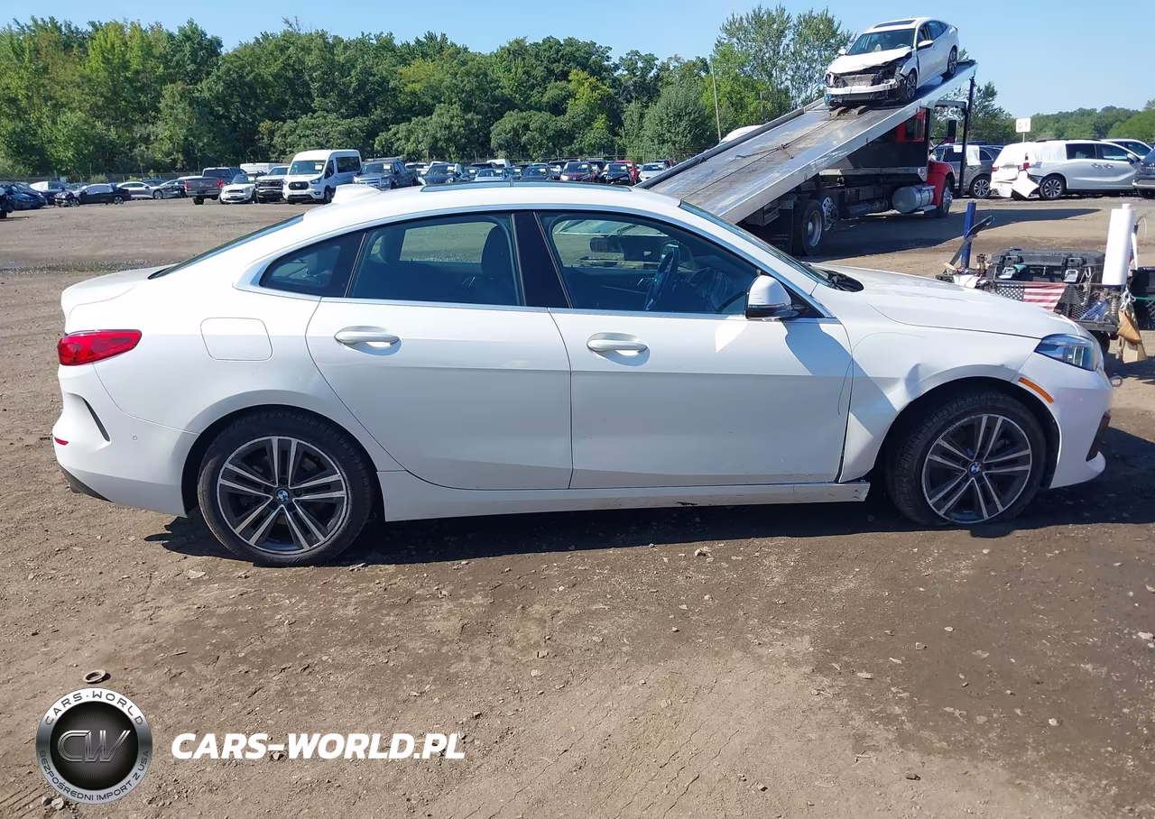 2020 BMW 228I Gran Coupe xDrive VIN:WBA73AK07L7F84322 - 13