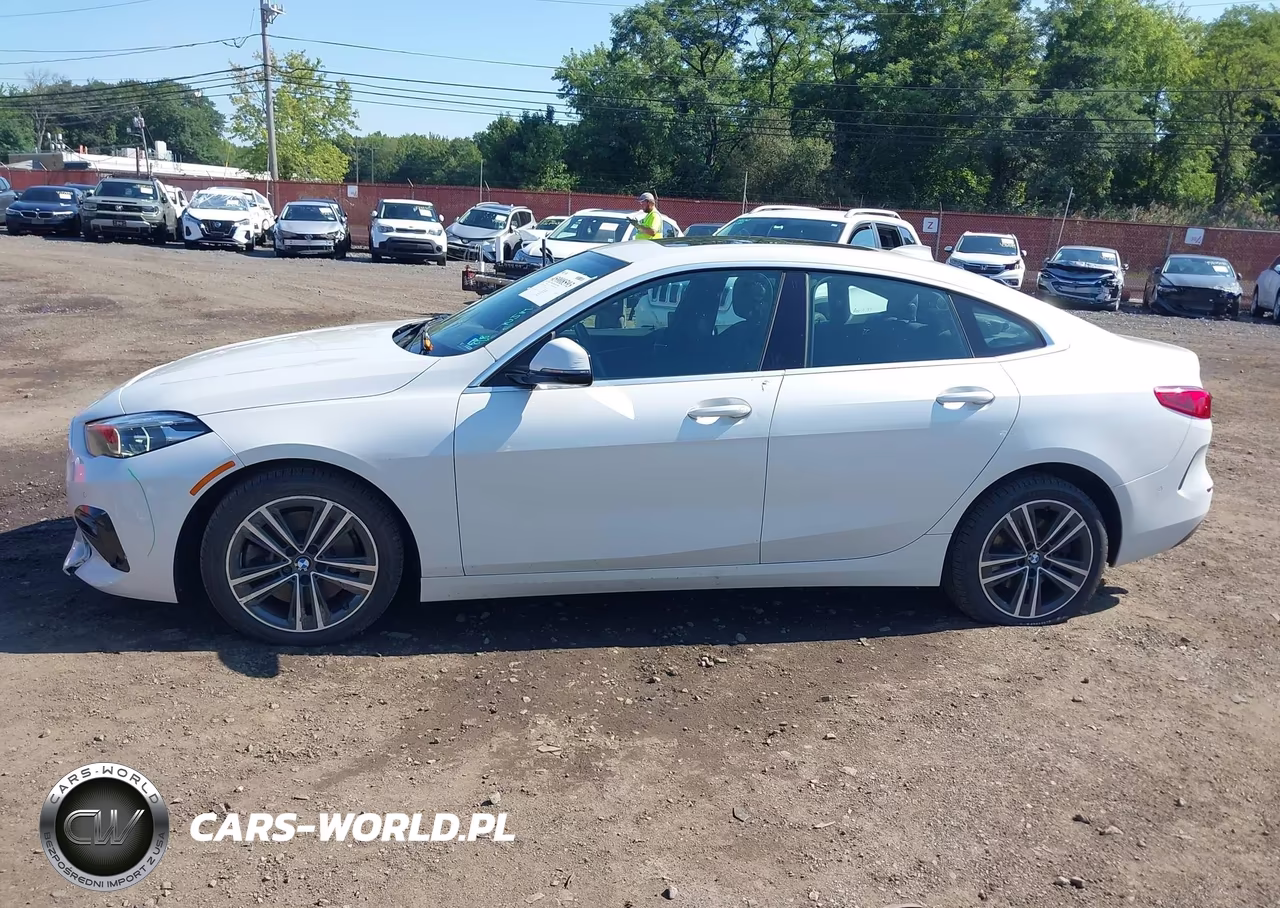 2020 BMW 228I Gran Coupe xDrive VIN:WBA73AK07L7F84322 - 14