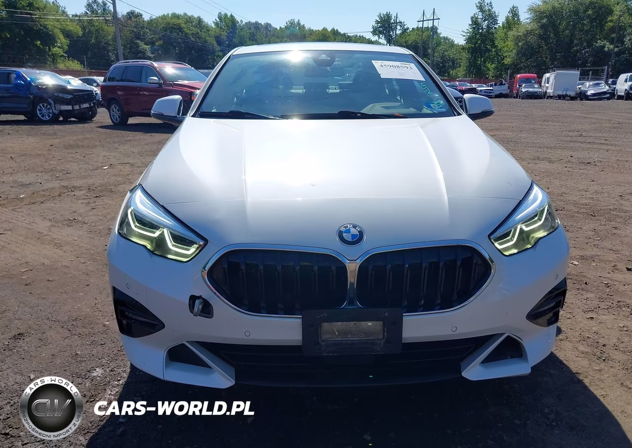 2020 BMW 228I Gran Coupe xDrive VIN:WBA73AK07L7F84322 - 17