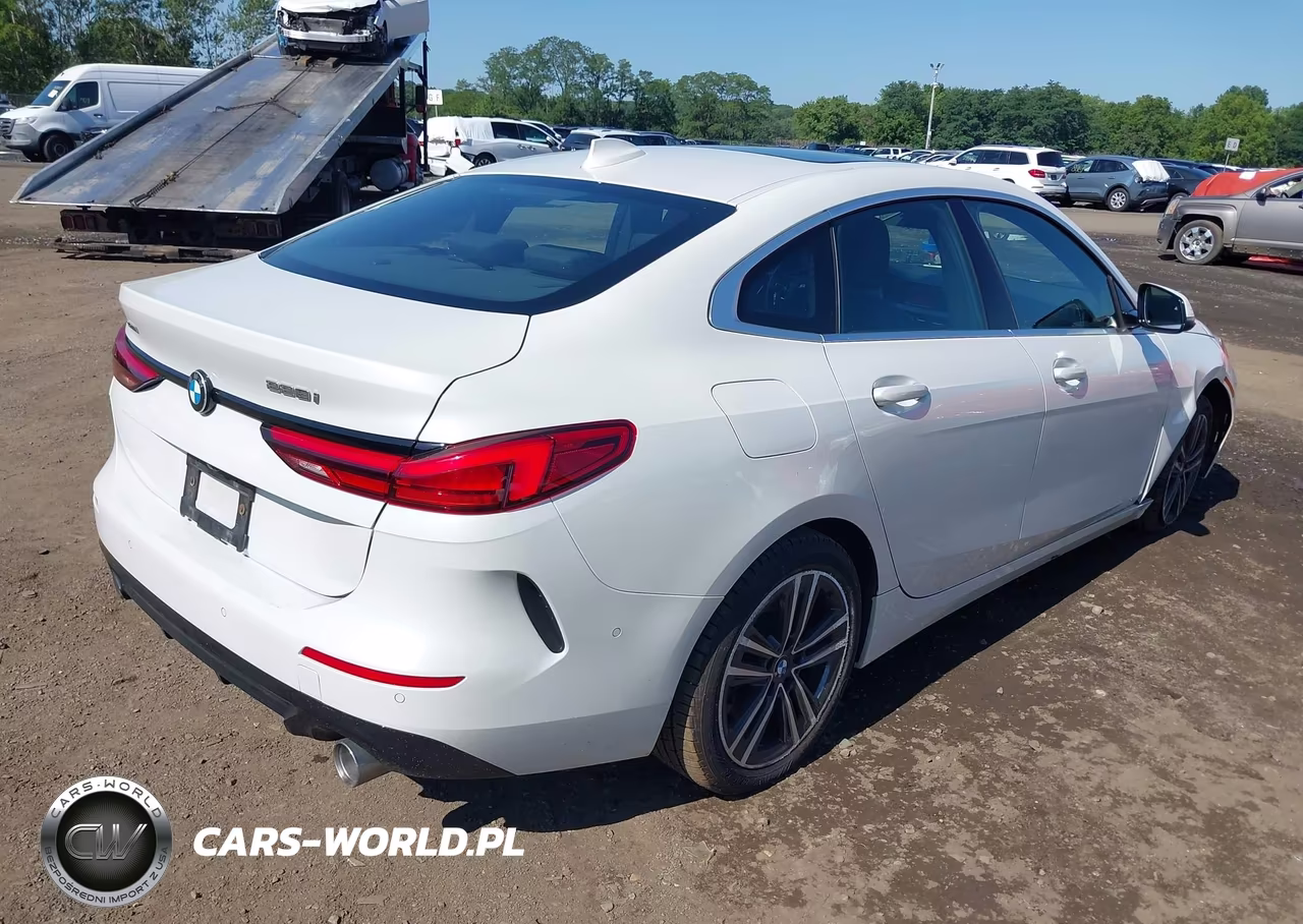 2020 BMW 228I Gran Coupe xDrive VIN:WBA73AK07L7F84322 - 4