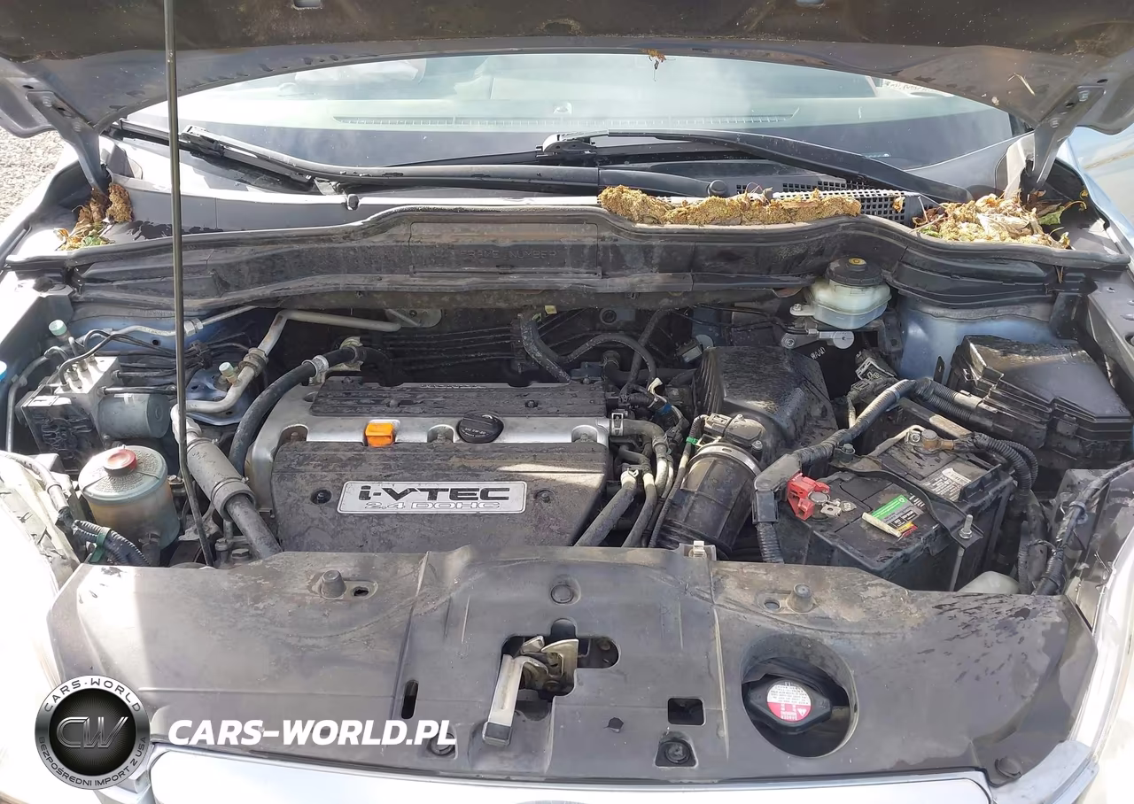 2007 Honda Cr-V Ex VIN:JHLRE48577C055525 - 10