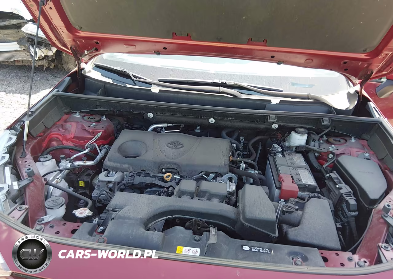 2023 Toyota Rav4 Xle VIN:2T3P1RFV9PW359873 - 10