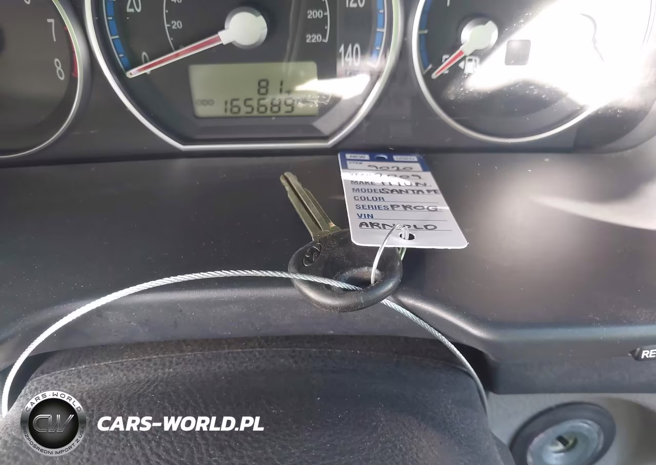 2009 Hyundai Santa Fe Se VIN:5NMSH13E29H263506 - 11