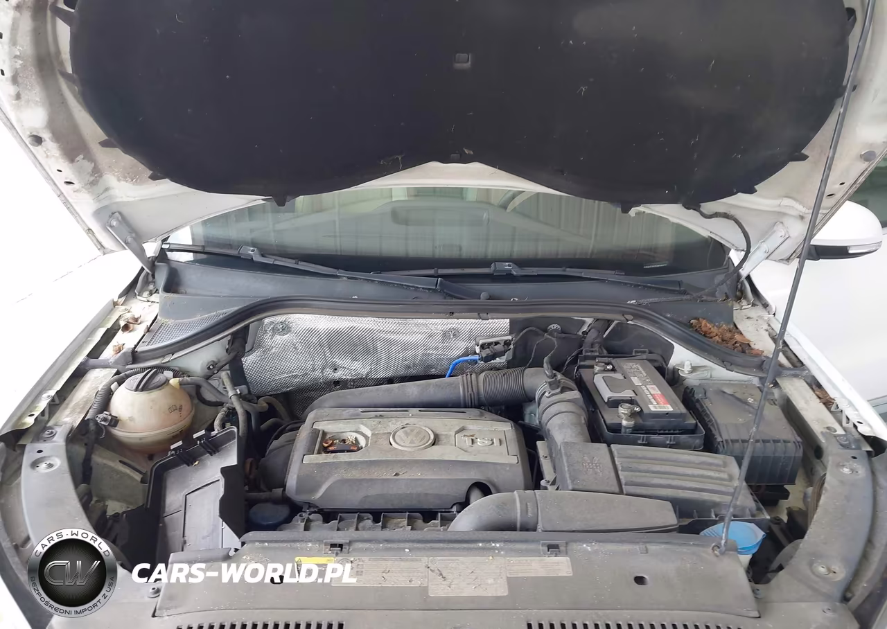 2013 Volkswagen Tiguan Se VIN:WVGAV7AX9DW546479 - 10