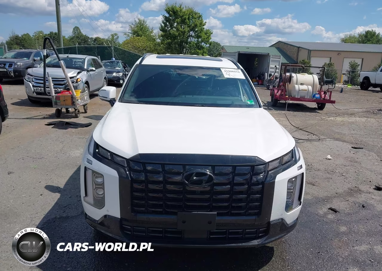2024 Hyundai Palisade Calligraphy Night Edition VIN:KM8R7DGE6RU673811 - 13