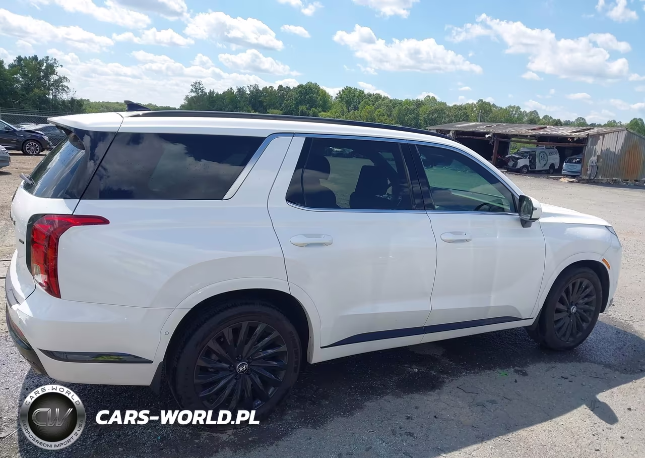 2024 Hyundai Palisade Calligraphy Night Edition VIN:KM8R7DGE6RU673811 - 14