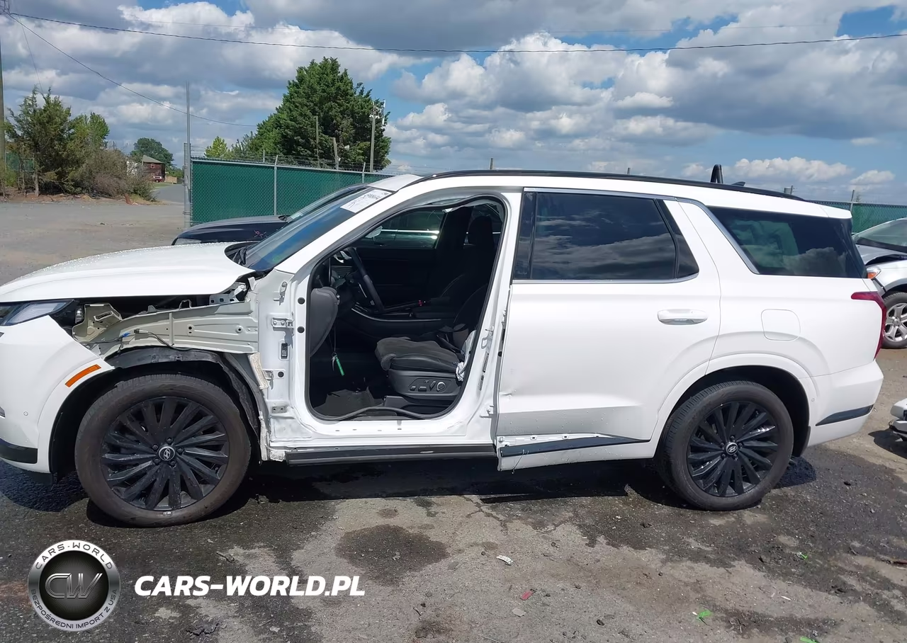 2024 Hyundai Palisade Calligraphy Night Edition VIN:KM8R7DGE6RU673811 - 15