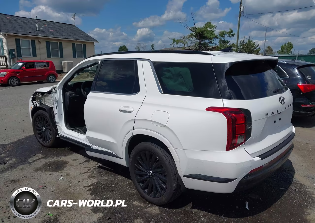 2024 Hyundai Palisade Calligraphy Night Edition VIN:KM8R7DGE6RU673811 - 3