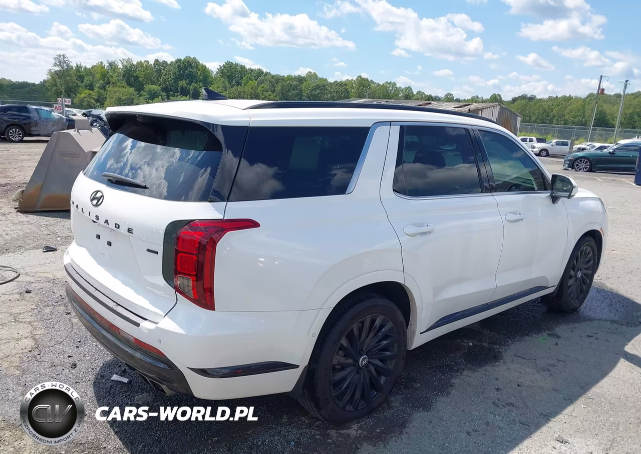 2024 Hyundai Palisade Calligraphy Night Edition VIN:KM8R7DGE6RU673811 - 4