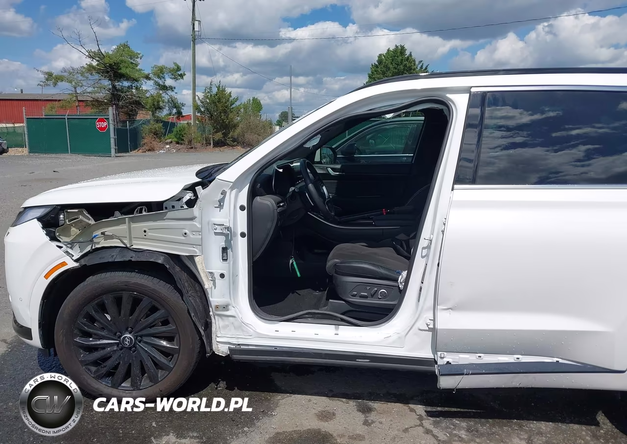 2024 Hyundai Palisade Calligraphy Night Edition VIN:KM8R7DGE6RU673811 - 6