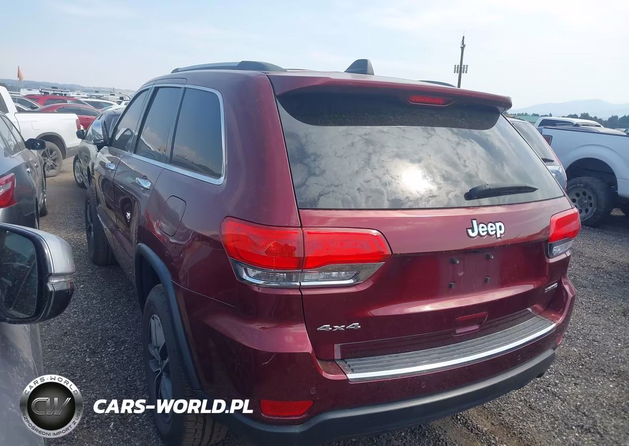 2019 Jeep Grand Cherokee Limited 4X4 VIN:1C4RJFBGXKC818175 - 3