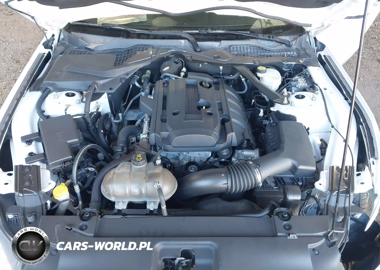 2017 Ford Mustang Ecoboost Premium VIN:1FATP8UH7H5254283 - 10