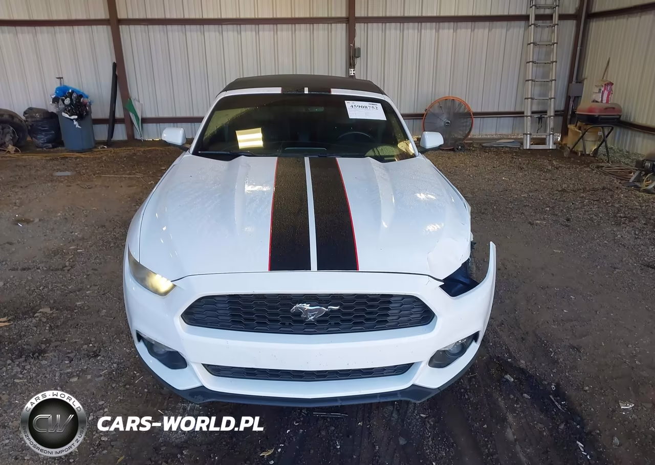 2017 Ford Mustang Ecoboost Premium VIN:1FATP8UH7H5254283 - 12