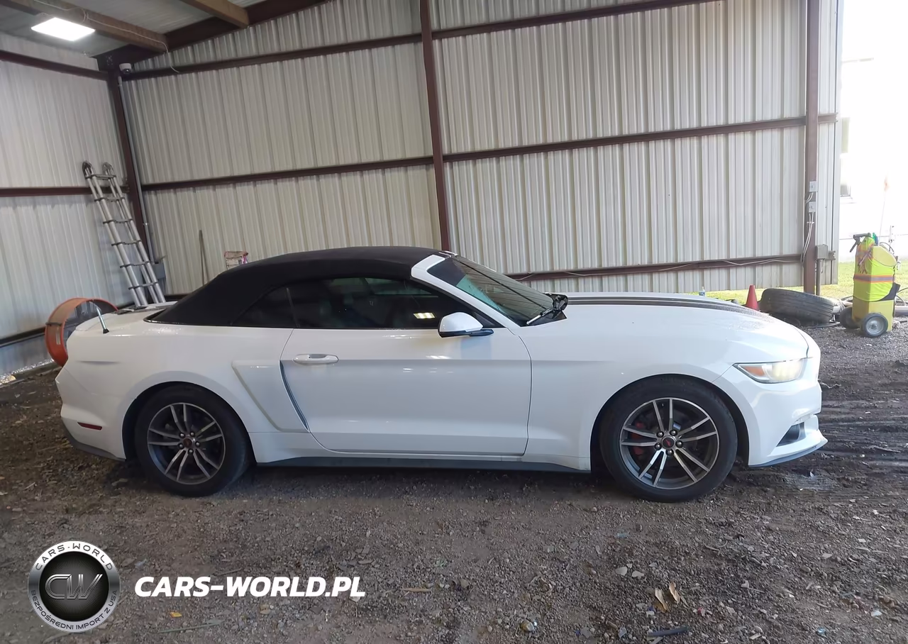2017 Ford Mustang Ecoboost Premium VIN:1FATP8UH7H5254283 - 13