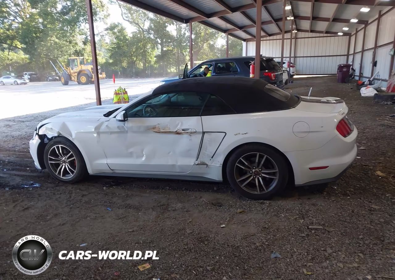 2017 Ford Mustang Ecoboost Premium VIN:1FATP8UH7H5254283 - 14
