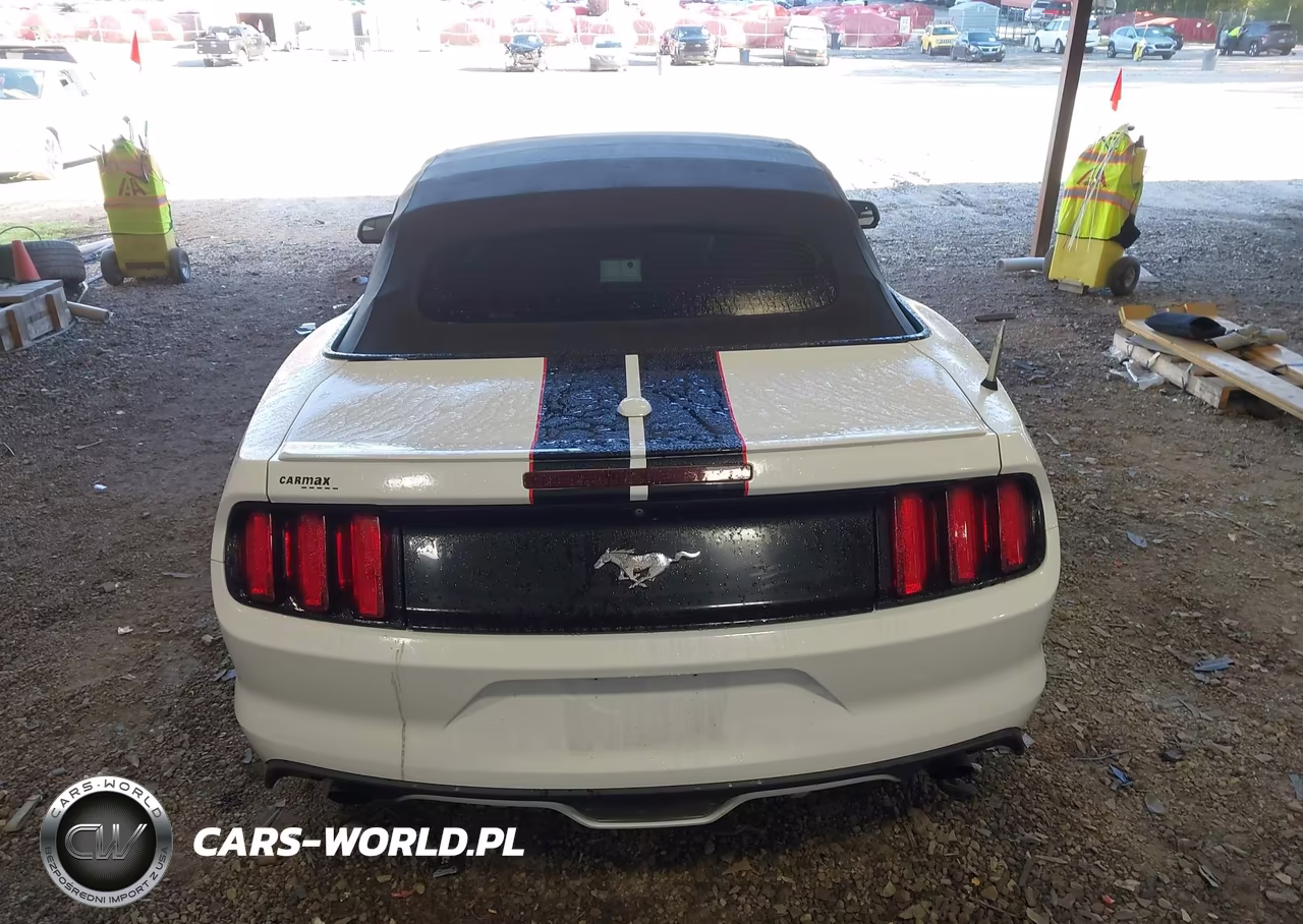 2017 Ford Mustang Ecoboost Premium VIN:1FATP8UH7H5254283 - 16