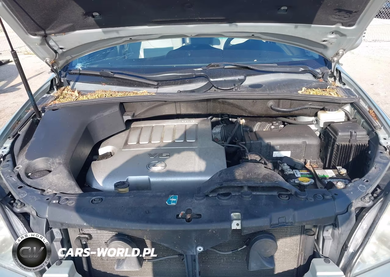 2009 Lexus Rx 350 VIN:2T2HK31U59C118592 - 10